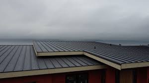 Best Steel Roofing  in Frederic, WI